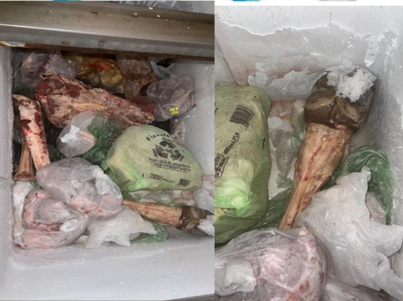Secuestraron 100 kilos de carne en allanamientos por abigeato